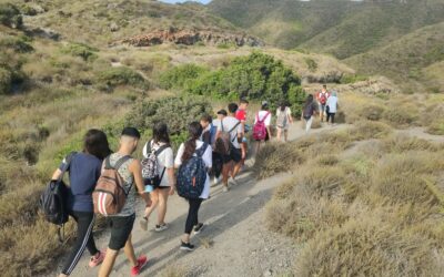 L’IRPF autonòmic de la Regió de Múrcia afavoreix la inserció laboral i la promoció de menors vulnerables a Cartagena