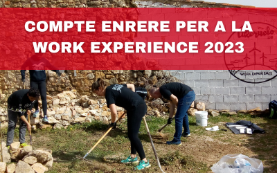 Torna Work Experience, una experiència que transforma