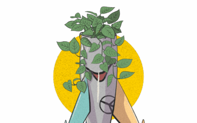 COMUNICADO PALESTINA