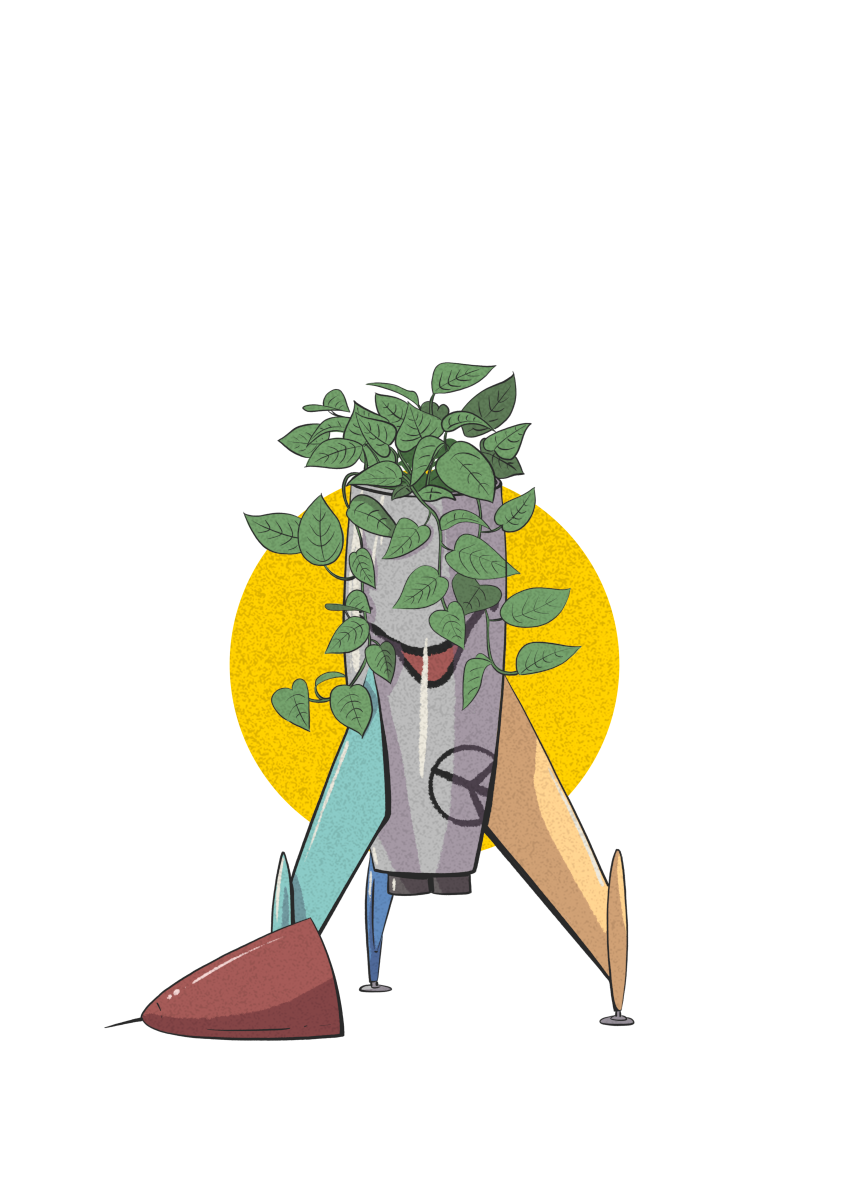 Comunicado Palestina